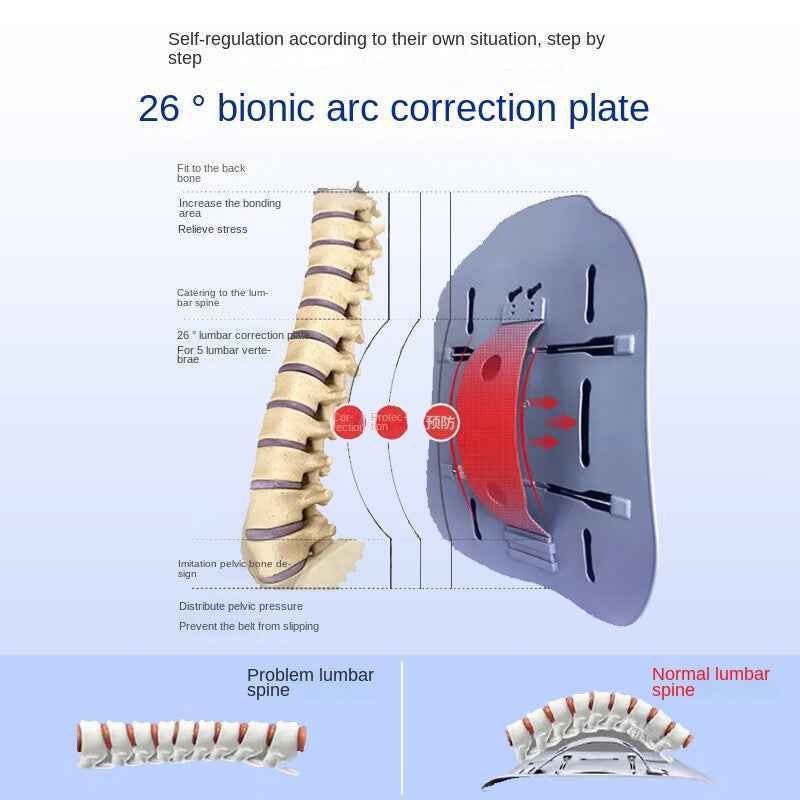 Medical Lumbar Support Belt for Herniated Disc, Lumbar Muscle Strain, Post-Surgery Recovery, Spinal Stabilization and Back Brace